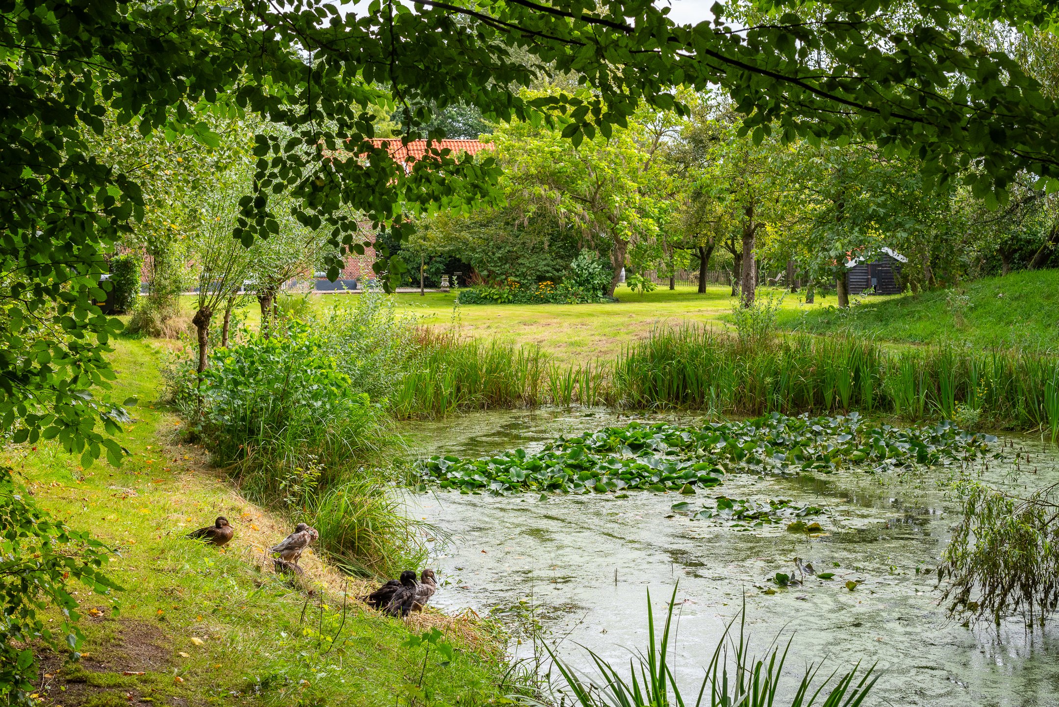 retreatlocatie huren in de natuur bij hof van kairos