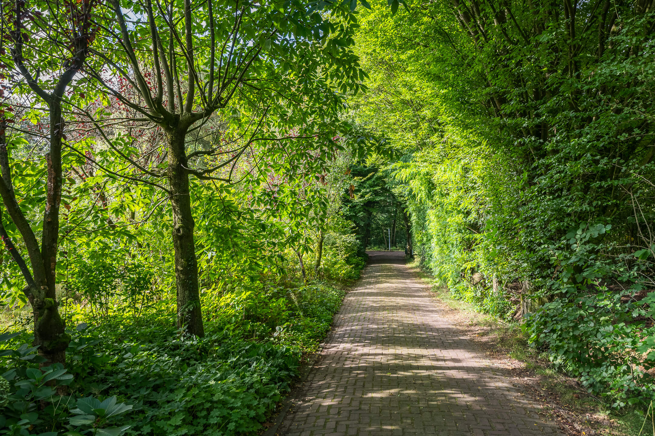 mooiste retreatlocatie van nederland hof van kairos