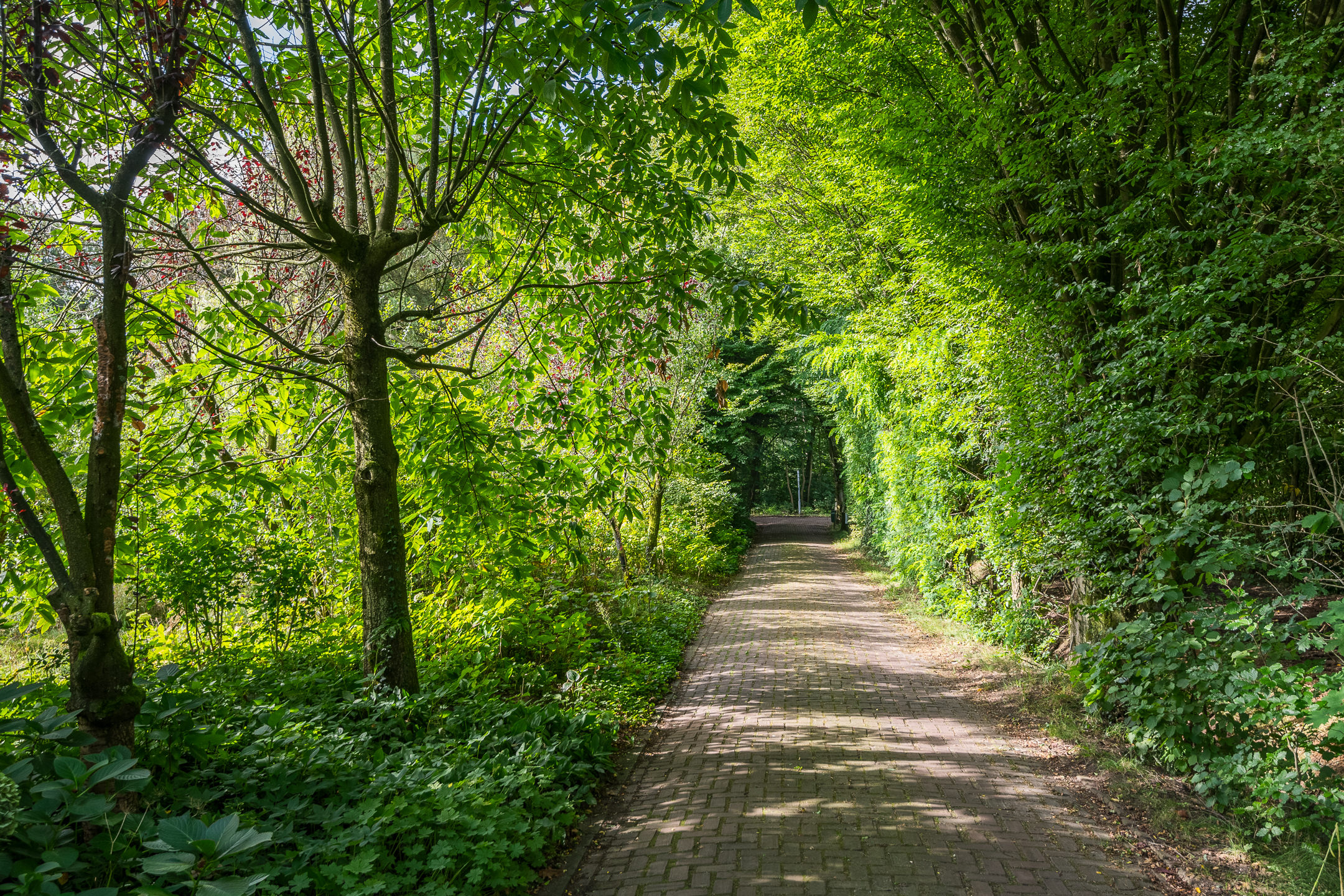 locatie voor retreat met psilocybine in de achterhoek hof van kairos